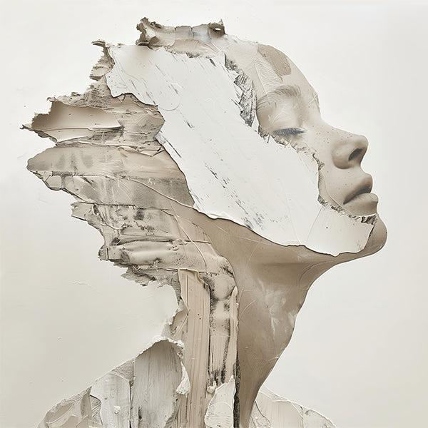 Dromer- plexiglas schilderij - kunst