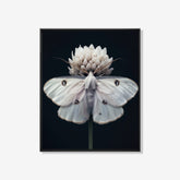 Moth - Bloemen schilderij- plexiglas schilderij - kunst