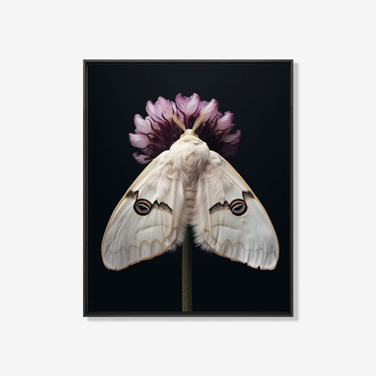 Moth Purple Chive - Bloemen schilderij- plexiglas schilderij - kunst