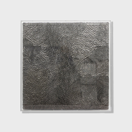 Suede organica - 3d art- plexiglas schilderij - kunst