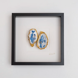 Vissen 27x27cm - Ingelijste oesters- plexiglas schilderij - kunst