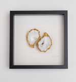 Pearls Modern 27x27cm - Ingelijste oesters- plexiglas schilderij - kunst