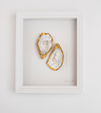 Pearls Klassiek 23x28cm - Ingelijste oesters- plexiglas schilderij - kunst