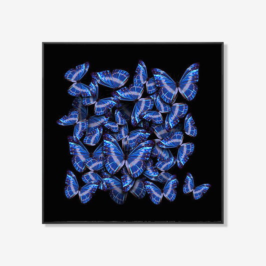 United Blue- plexiglas schilderij - kunst