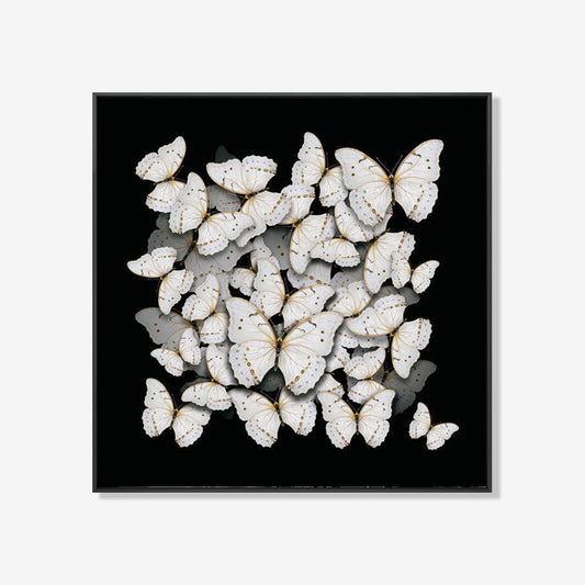 United White- plexiglas schilderij - kunst