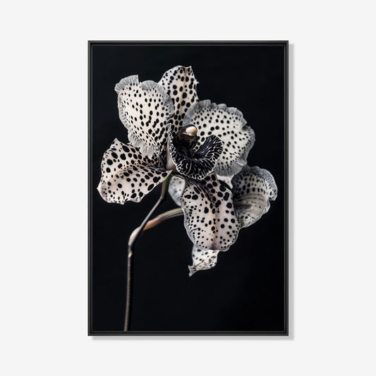 Witte Orchidee - Bloemen schilderij- plexiglas schilderij - kunst