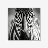 Zebra - Zwart wit schilderij- plexiglas schilderij - kunst