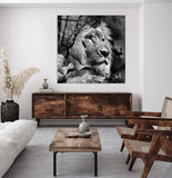 Mystic Wilderness - Zwart wit schilderij - Bloemen schilderij- plexiglas schilderij - kunst