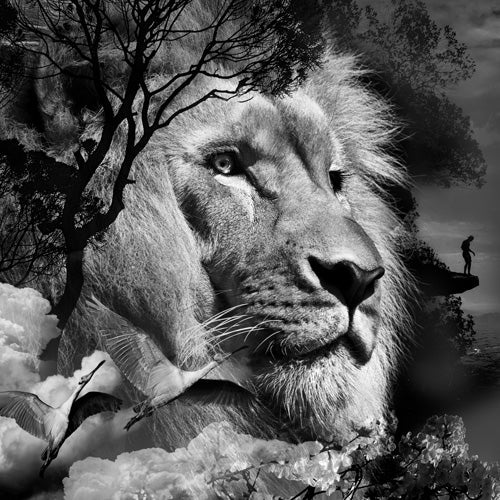 Mystic Wilderness - Zwart wit schilderij - Bloemen schilderij- plexiglas schilderij - kunst