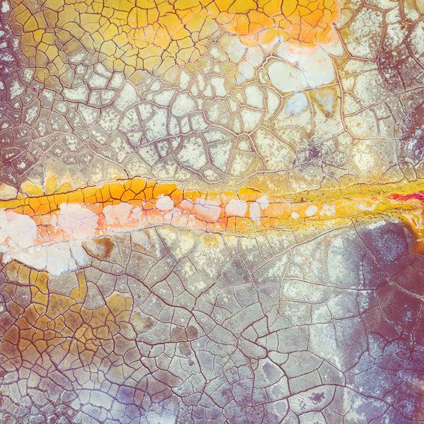 No Rain No Flowers - Abstract schilderij- plexiglas schilderij - kunst