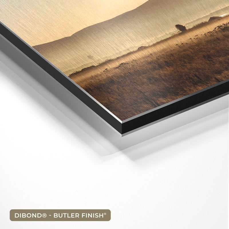 Vis met diamanten- plexiglas schilderij - kunst