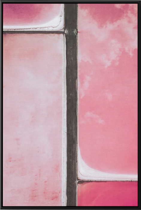 Pink Lands - Fotografie op Canvas