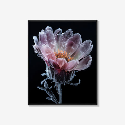 Frosty Bloom - Bloemen schilderij- plexiglas schilderij - kunst