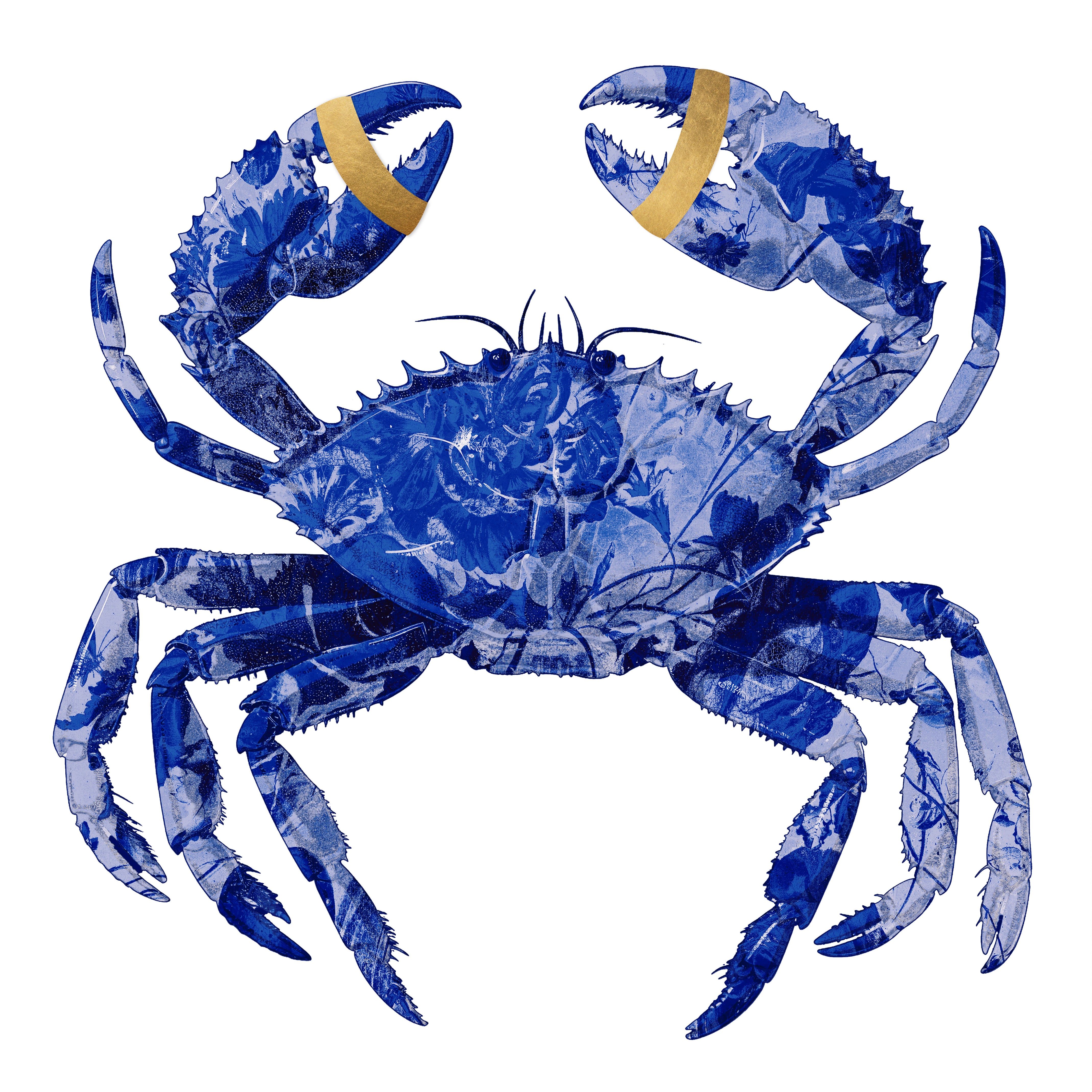 Crab Royal Blue White