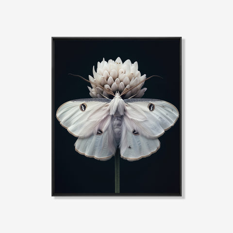 Moth - Bloemen schilderij- plexiglas schilderij - kunst