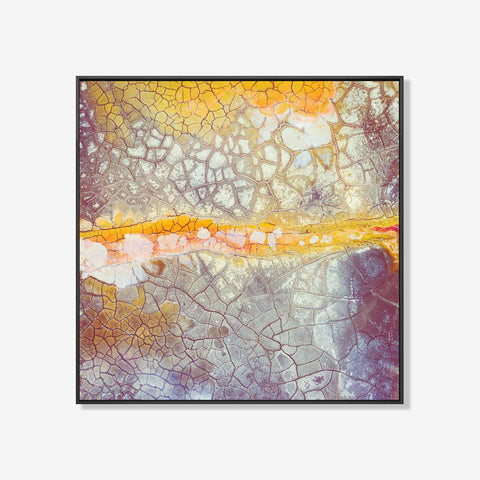 No Rain No Flowers - Abstract schilderij- plexiglas schilderij - kunst