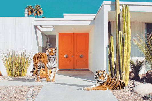Palm Springs Tigers- plexiglas schilderij - kunst