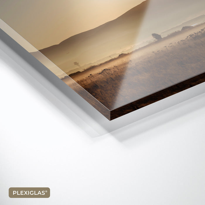 Vis met diamanten- plexiglas schilderij - kunst