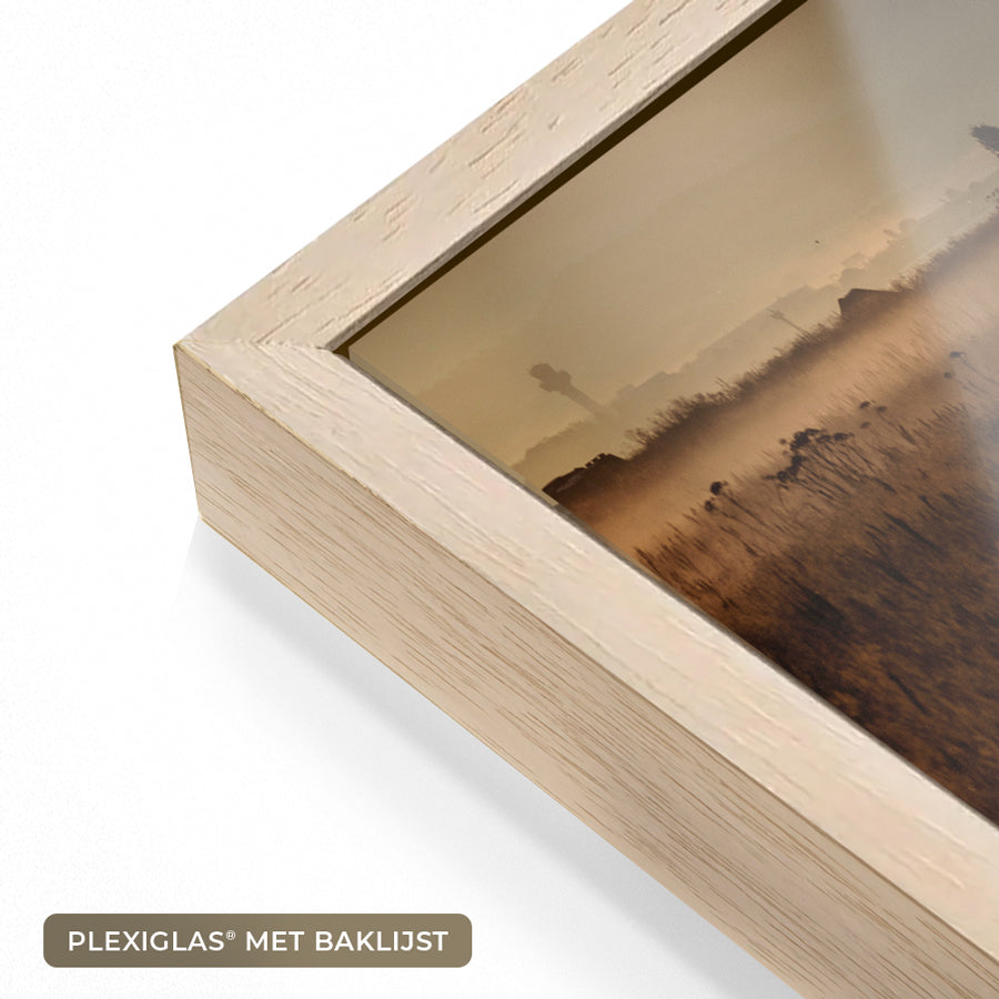 Vis met diamanten- plexiglas schilderij - kunst