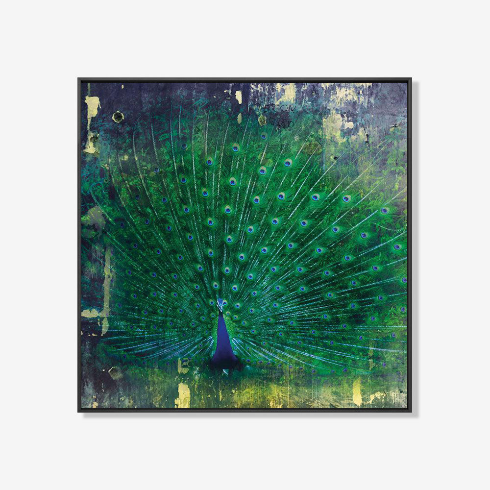 Pauw- plexiglas schilderij - kunst