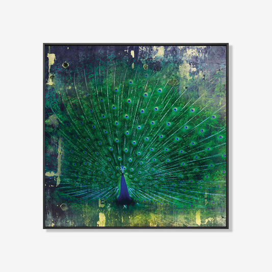 Pauw- plexiglas schilderij - kunst