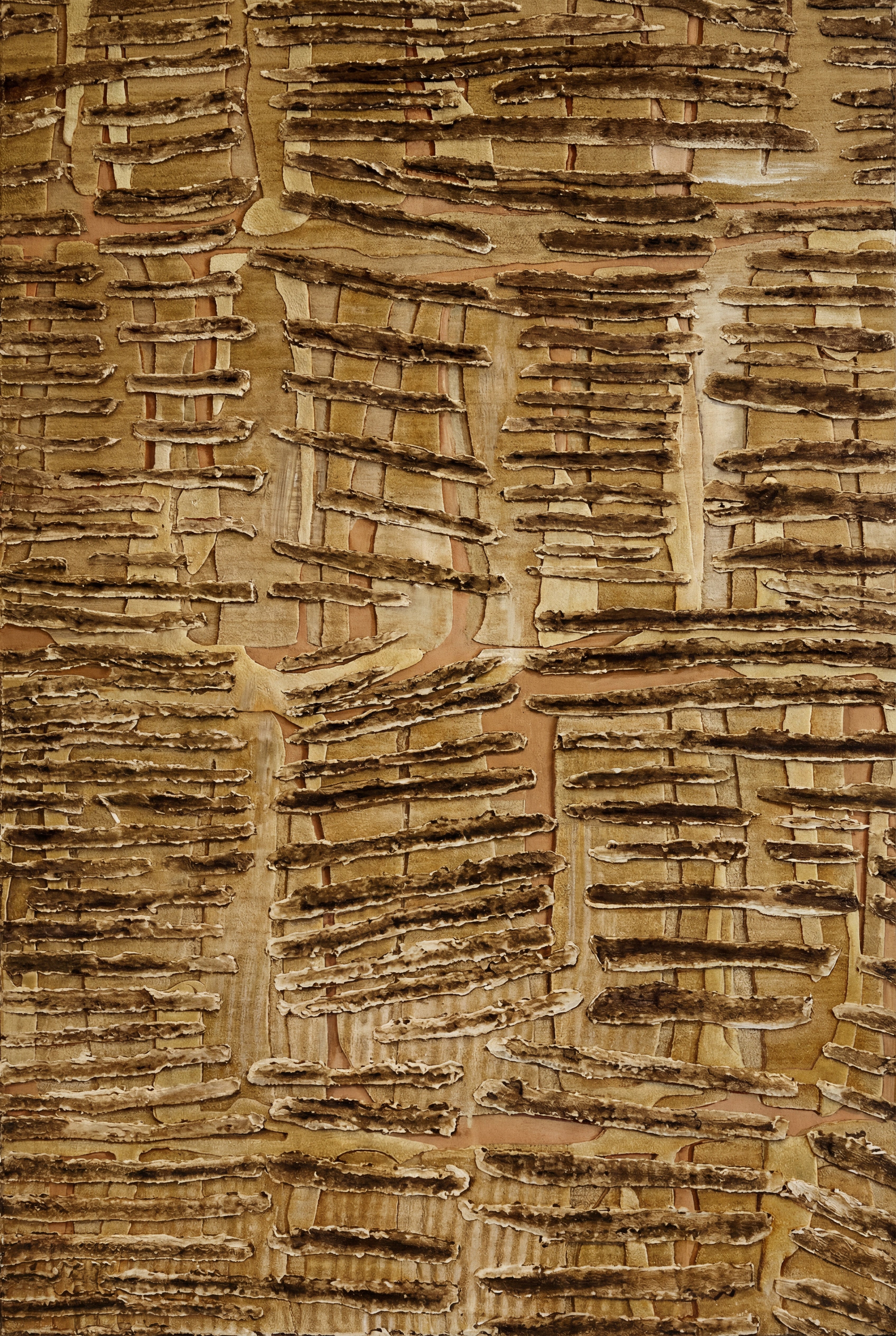 Warm beige kunstwerk met ruwe, handgemaakte lijnen en diepte

Detail van modern kunstwerk met natuurlijke aardetinten en structuur