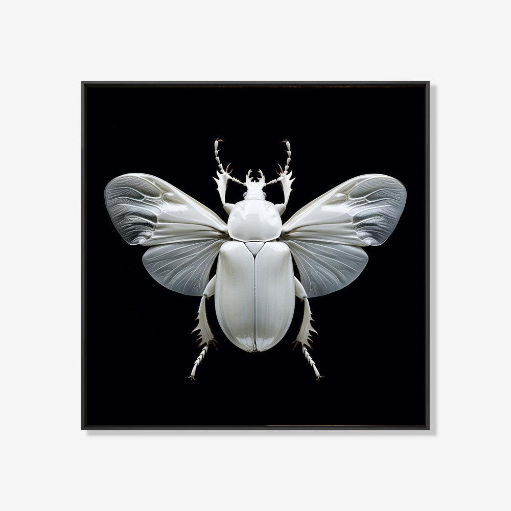 Scarabee - Zwart wit schilderij- plexiglas schilderij - kunst