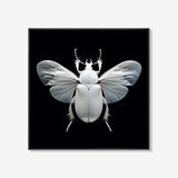 Scarabee - Zwart wit schilderij- plexiglas schilderij - kunst