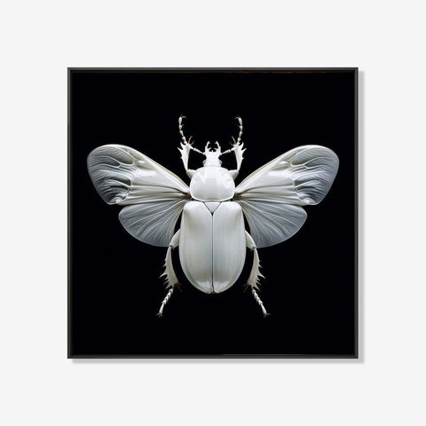 Scarabee - Zwart wit schilderij- plexiglas schilderij - kunst