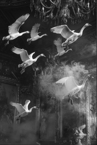 Symphony of Wings- plexiglas schilderij - kunst