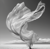 Weightless- plexiglas schilderij - kunst