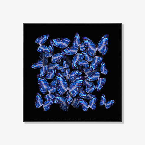 United Blue- plexiglas schilderij - kunst