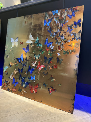 Golden Flutter – Limited Edition Art Piece- plexiglas schilderij - kunst