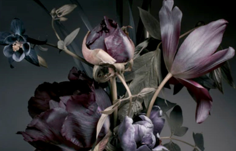 Dark Flowers - Fotografie op plexiglas