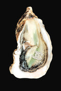 plexiglas schilderij met een oester met daarin een sieraad van chanel