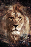 Wild lion extra- plexiglas schilderij - kunst