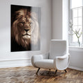 Wild lion - Fotografie op plexiglas