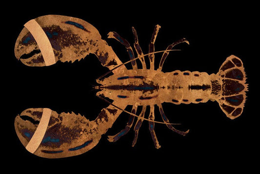 Lobster Black Horizontaal- plexiglas schilderij met een kreeft - kunst