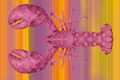 Lobster Louis pink Horizontaal - Plexiglas schilderij