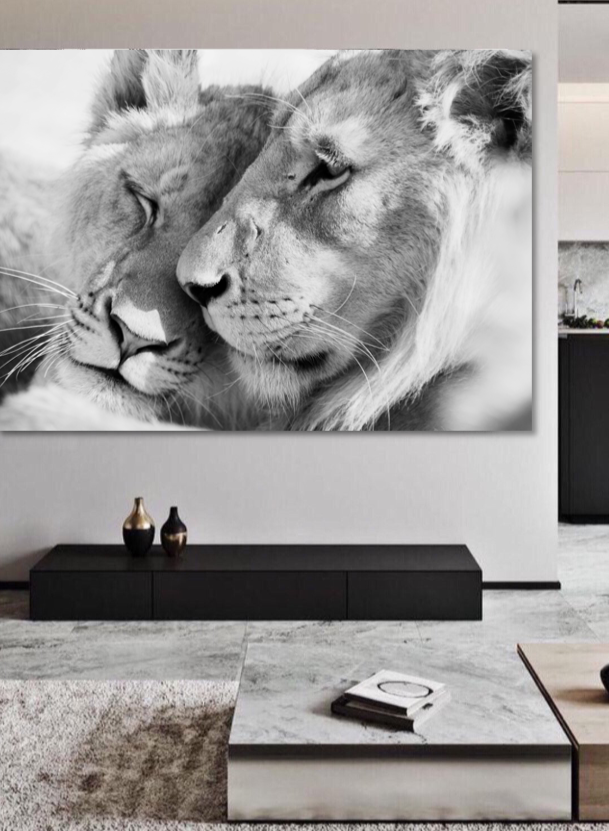Lion couple - Fotografie op plexiglas